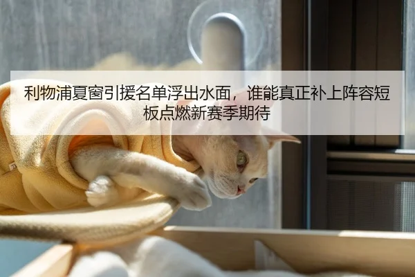 利物浦夏窗引援名单浮出水面,谁能真正补上阵容短板点燃新赛季期待